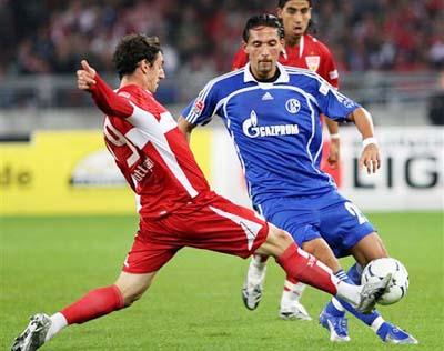 托于这种强 托于这种强